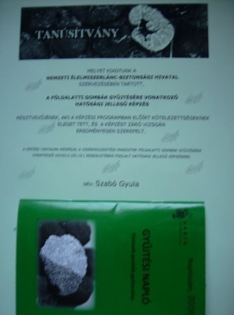 dsci4460.jpg dsci4460.jpg